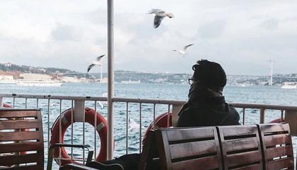 天齐网图库-快速检索-历史索引回看-核验中心,天齐网图库图