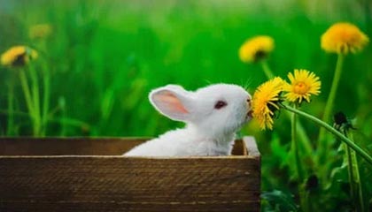 天齐网图库-时间表-规则中心,天齐网首页图谜大全