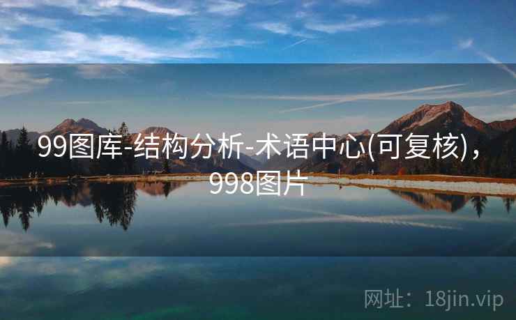99图库-结构分析-术语中心(可复核)，998图片
